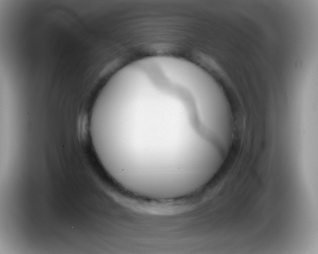X0000086250024200704122000