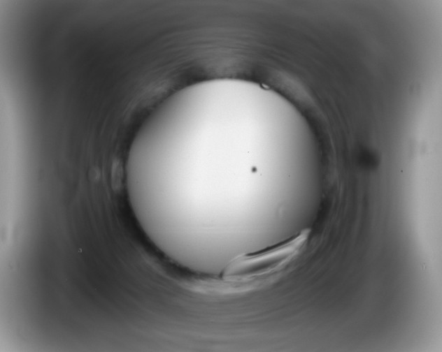 X0000086250025200704122000