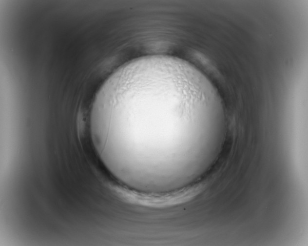 X0000086250026200704122000