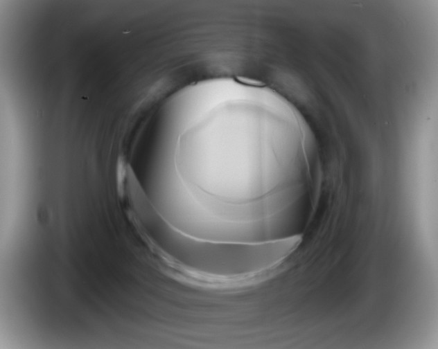 X0000086250027200704122000