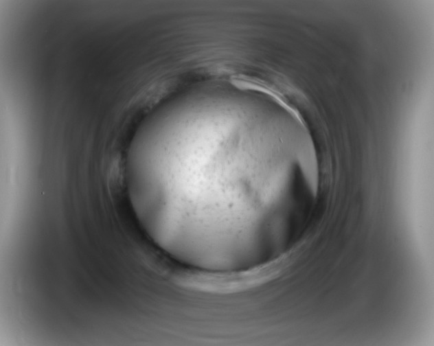 X0000086250029200704122000