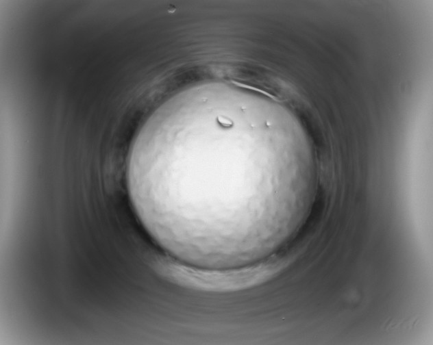 X0000086250030200704122000
