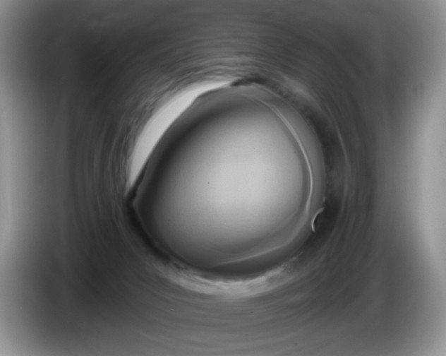 X0000086250031200704122000