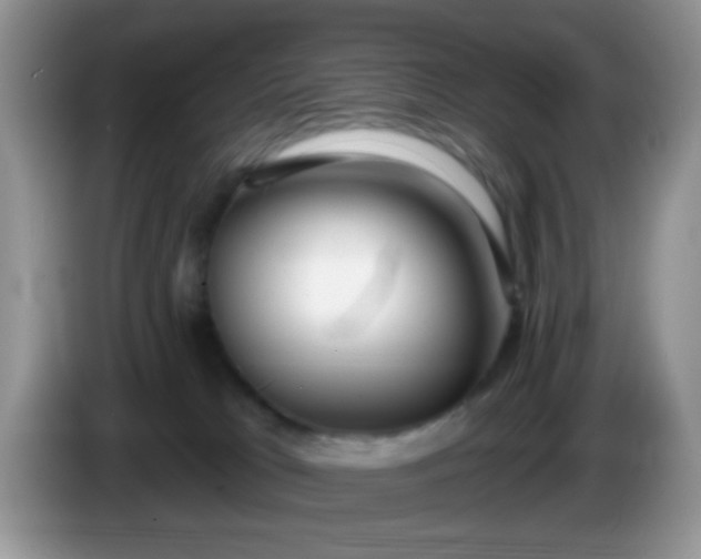 X0000086250037200704122000