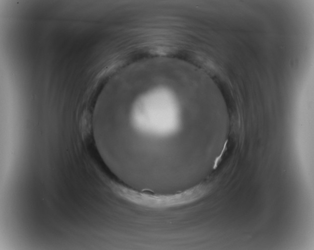 X0000086250043200704122000