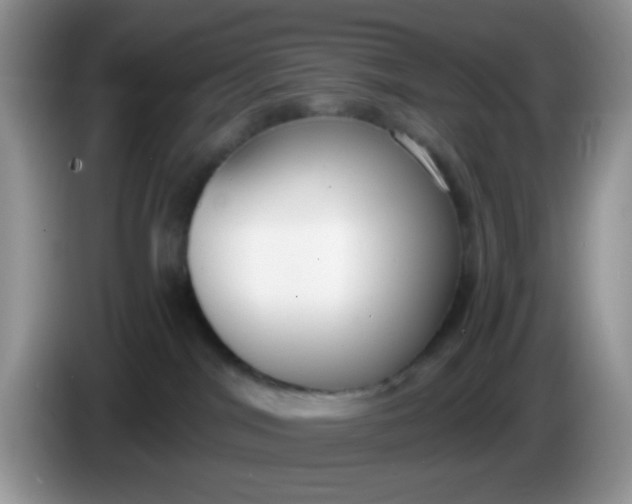 X0000086250044200704122000