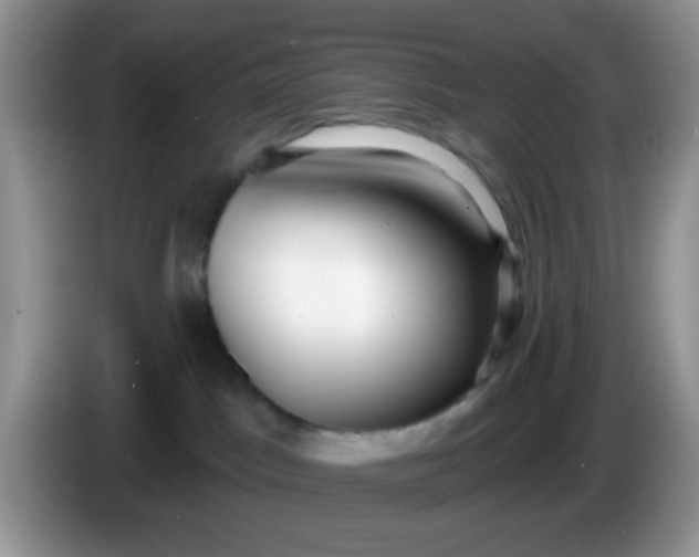 X0000086250045200704122000
