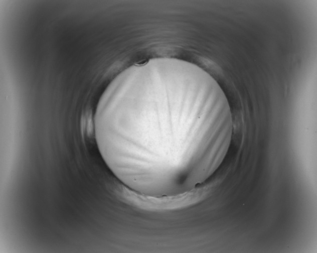 X0000086250046200704122000