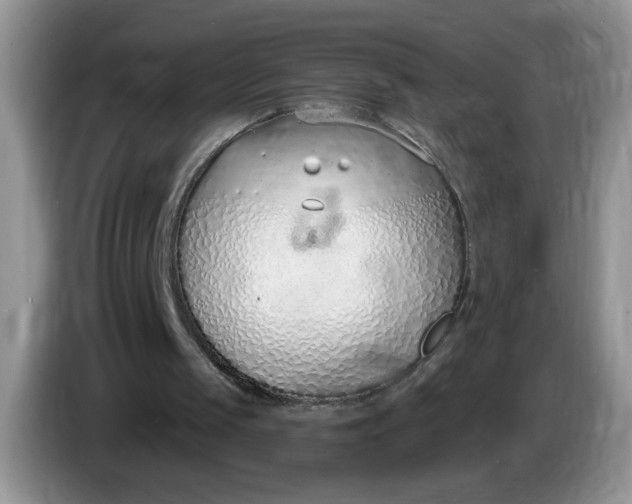 X0000086250049200704121959