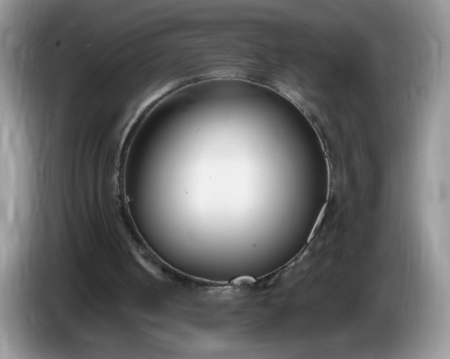 X0000086250050200704121959