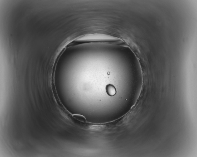 X0000086250051200704121959