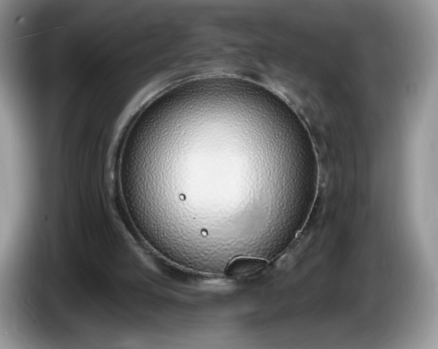 X0000086250053200704121959