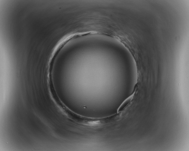 X0000086250054200704121959