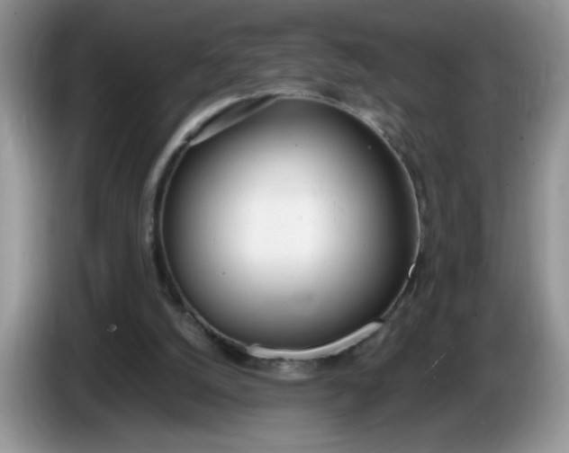 X0000086250056200704121959