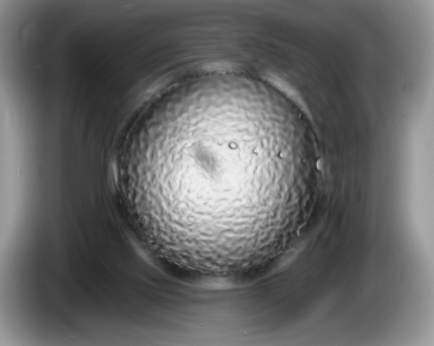 X0000086250061200704121959