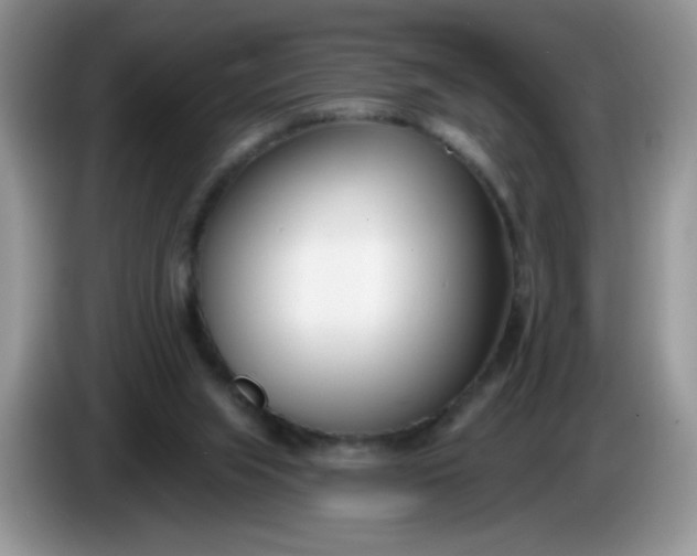 X0000086250063200704121959