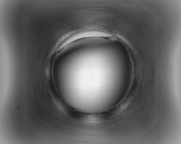 X0000086250064200704121959