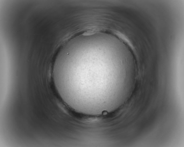 X0000086250065200704121959