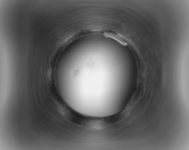 X0000086250066200704121959