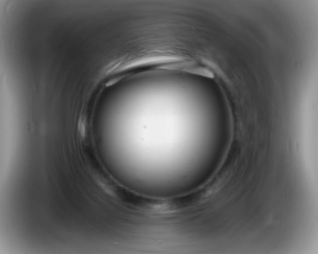 X0000086250068200704121959