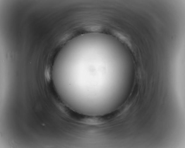 X0000086250069200704121959