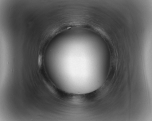 X0000086250070200704121959