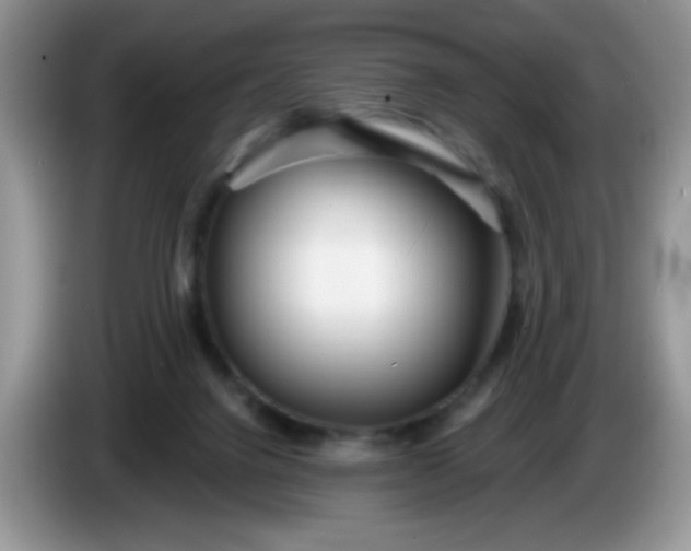 X0000086250072200704121959