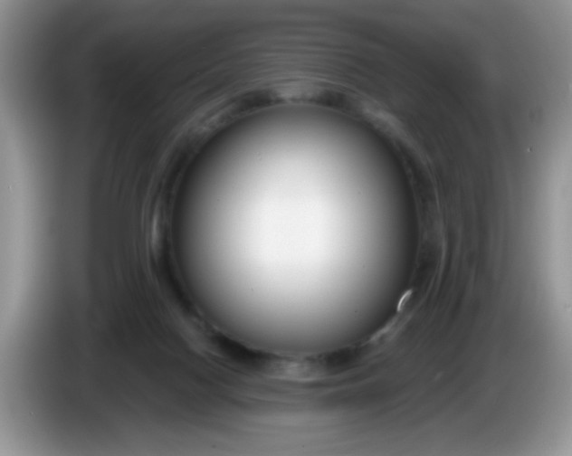 X0000086250074200704121959