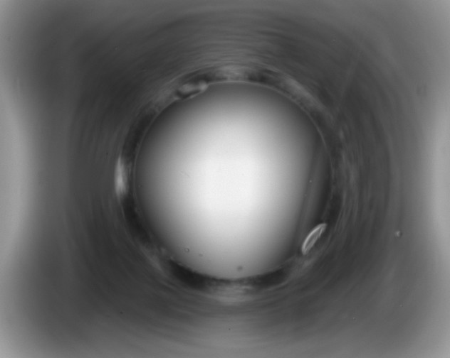 X0000086250075200704121959