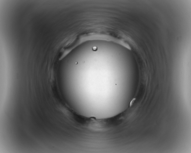 X0000086250077200704121959