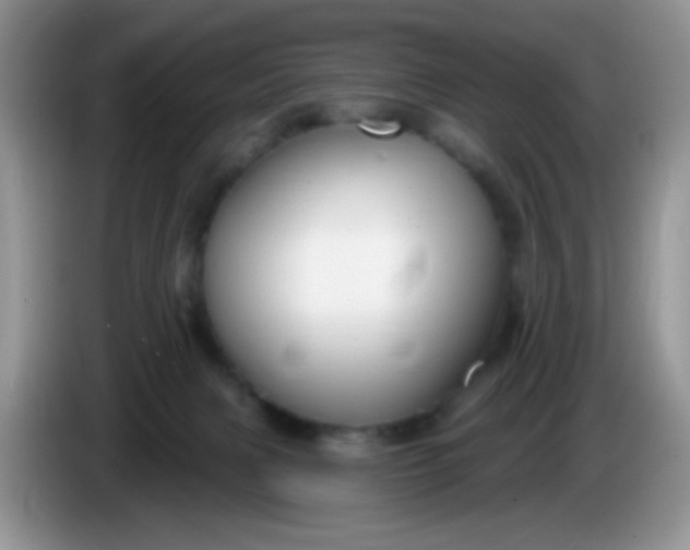 X0000086250079200704121959