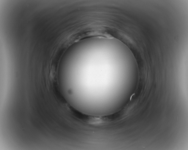 X0000086250083200704122000