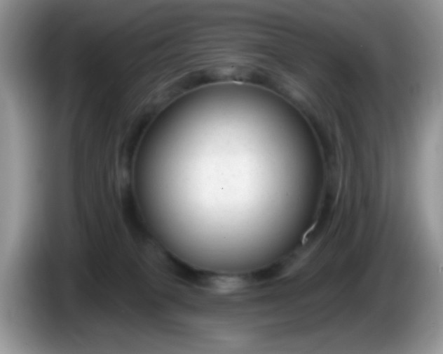 X0000086250085200704122000