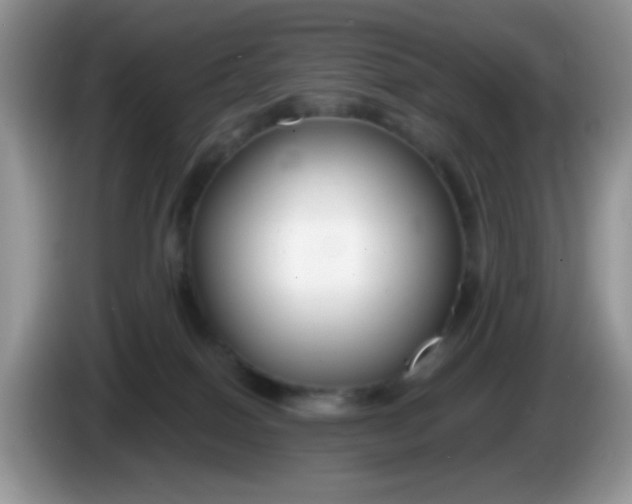 X0000086250086200704122000