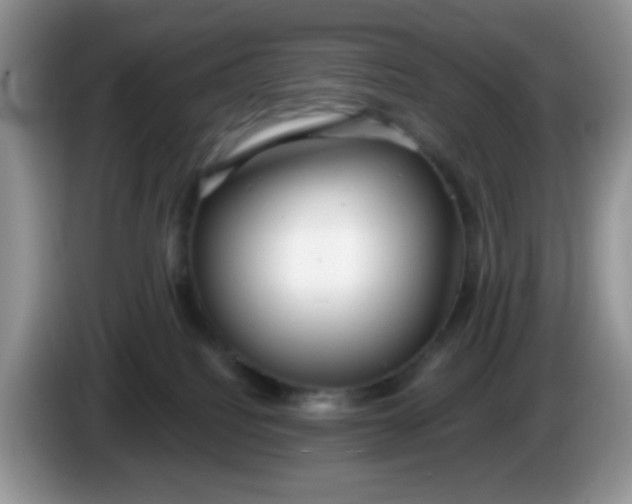 X0000086250088200704122000