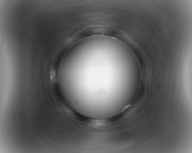 X0000086250089200704122000
