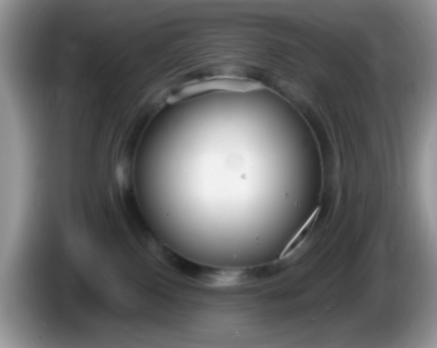X0000086250090200704122000