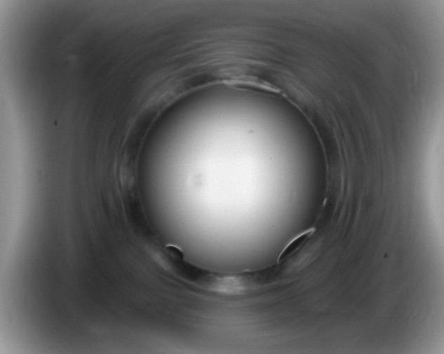 X0000086250091200704122000