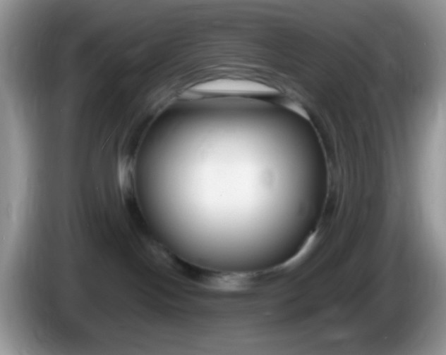 X0000086250094200704122000