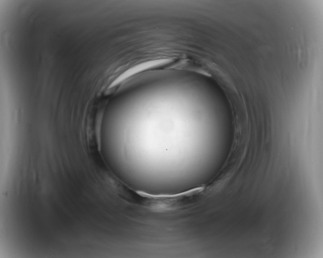 X0000086250096200704122000