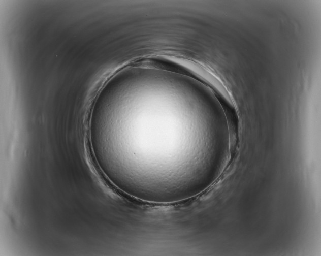 X0000086250097200704121959