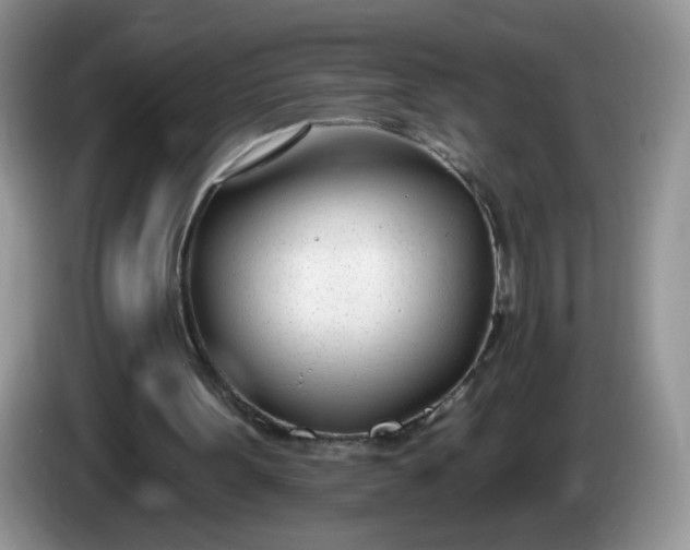 X0000086250099200704121959