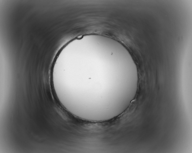 X0000086250100200704121959