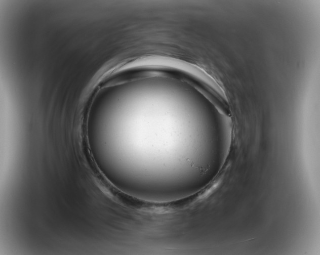 X0000086250101200704121959