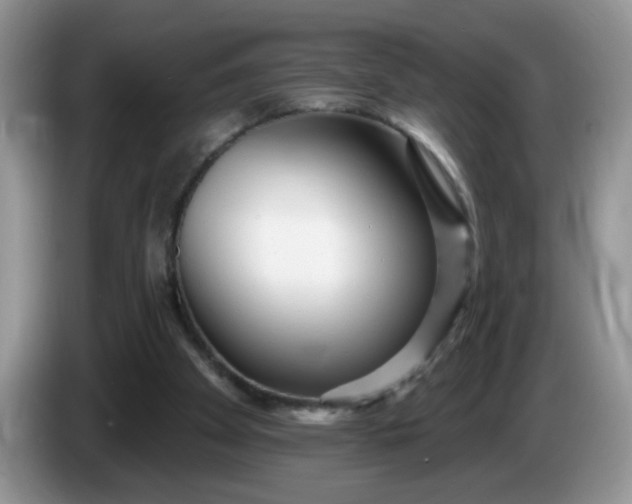 X0000086250105200704121959