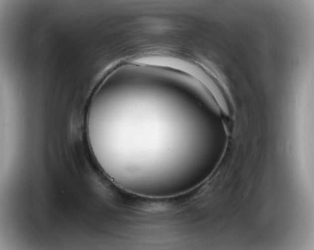 X0000086250107200704121959