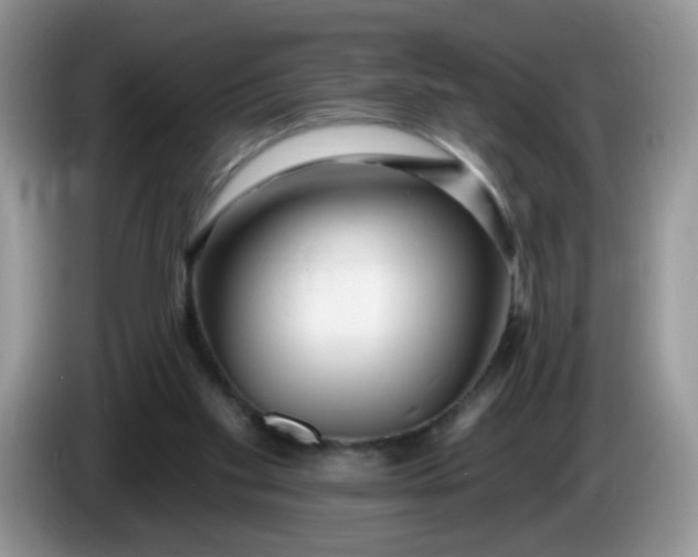 X0000086250109200704121959