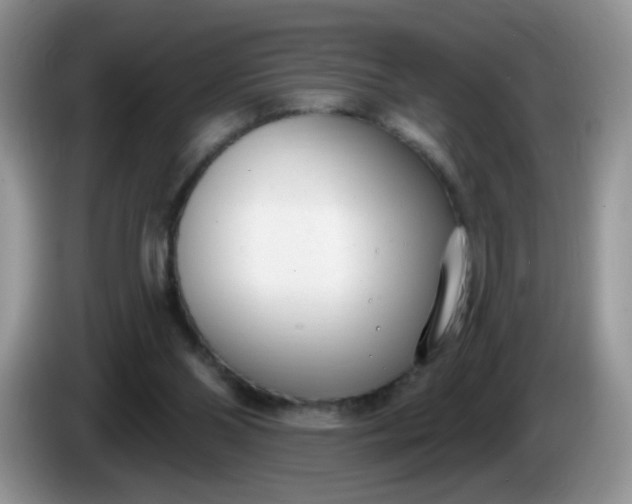 X0000086250110200704121959