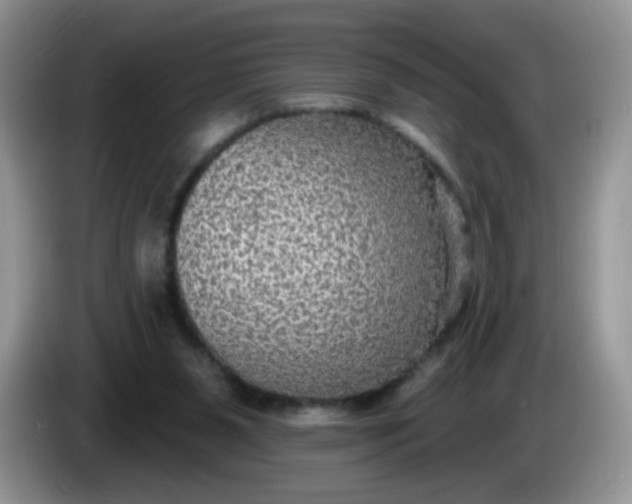 X0000086250111200704121959