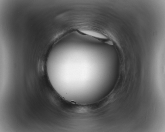 X0000086250115200704121959